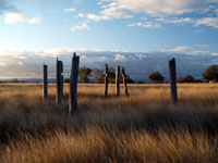 2011ruins.jpg